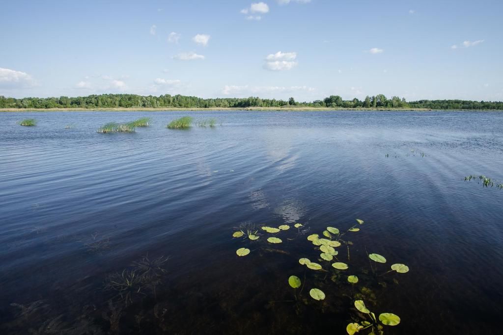 Дома для отпуска Agroturystyka Golubie Элк