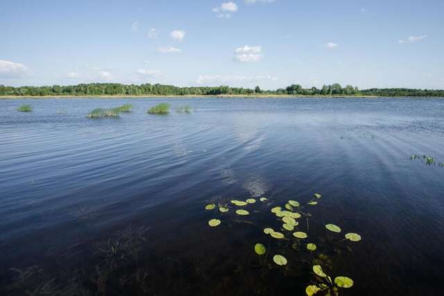 Дома для отпуска Agroturystyka Golubie Элк-3